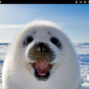 Meet your Posher, Ethan